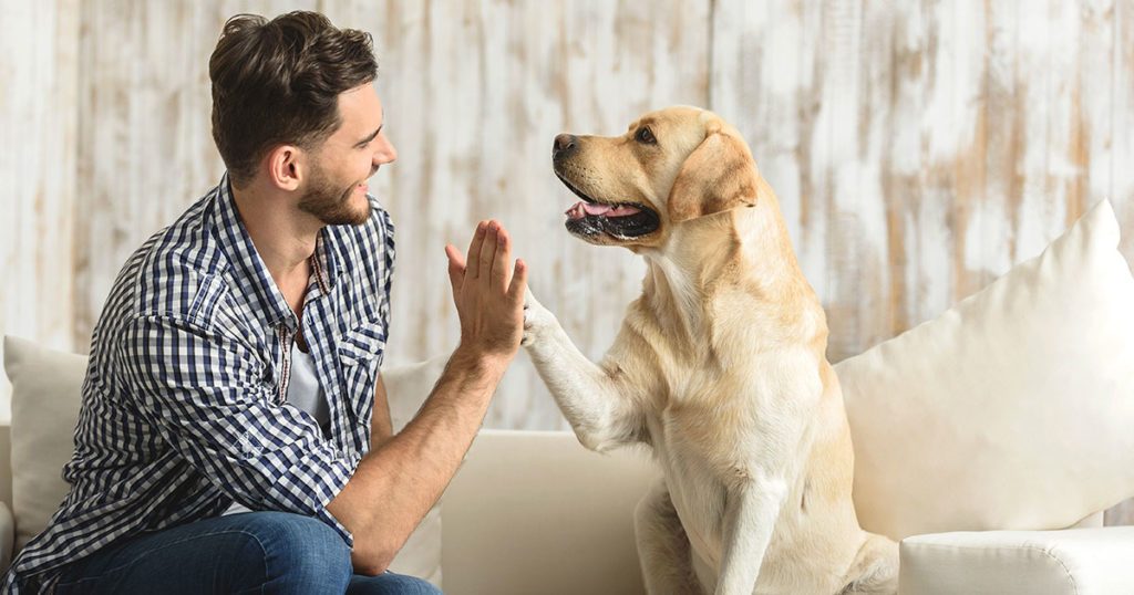 É possível viver tranquilamente com seu pet em condomínio