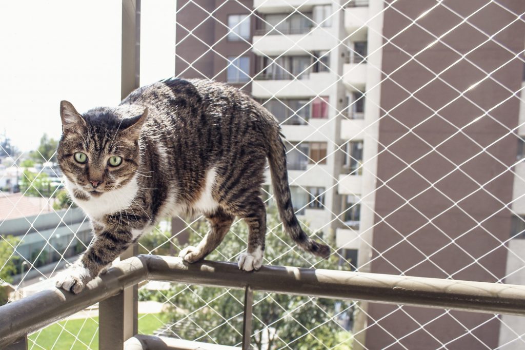 Telas de proteção em condomínios garantem a segurança de crianças e animais de estimação